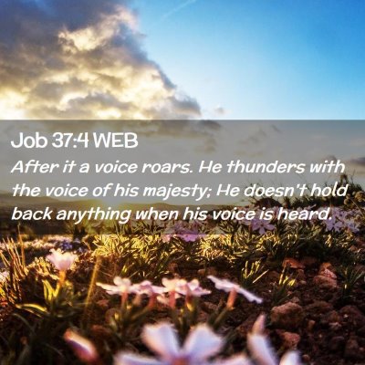 Picture 02 - Job 37:4 WEB - After it a voice roars. He thunders with the - Bible Verse Picture