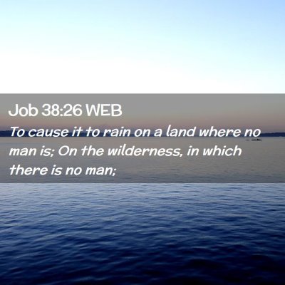 Picture 02 - Job 38:26 WEB - To cause it to rain on a land where no man is; On - Bible Verse Picture