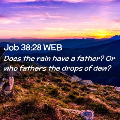 Picture 02 - Job 38:28 WEB - Does the rain have a father? Or who fathers the - Bible Verse Picture