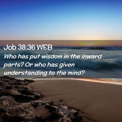 Picture 02 - Job 38:36 WEB - Who has put wisdom in the inward parts? Or who - Bible Verse Picture