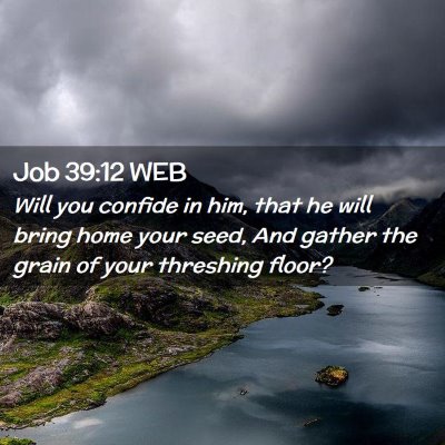 Picture 02 - Job 39:12 WEB - Will you confide in him, that he will bring home - Bible Verse Picture
