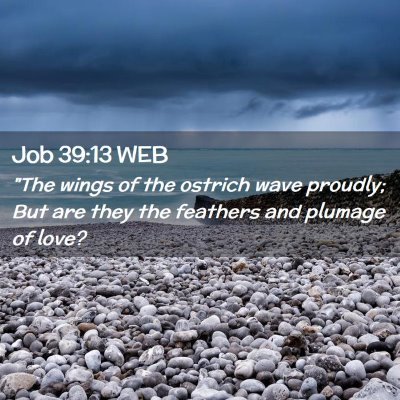 Picture 02 - Job 39:13 WEB - 