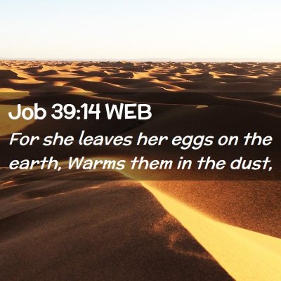 Picture 02 - Job 39:14 WEB - For she leaves her eggs on the earth, Warms them - Bible Verse Picture