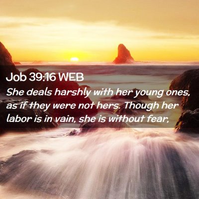 Picture 02 - Job 39:16 WEB - She deals harshly with her young ones, as if they - Bible Verse Picture