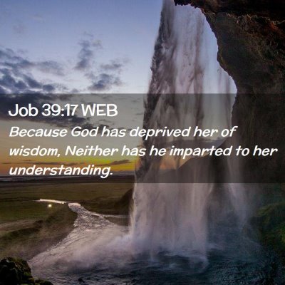 Picture 02 - Job 39:17 WEB - Because God has deprived her of wisdom, Neither - Bible Verse Picture