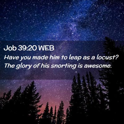 Picture 02 - Job 39:20 WEB - Have you made him to leap as a locust? The glory - Bible Verse Picture
