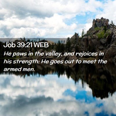 Picture 02 - Job 39:21 WEB - He paws in the valley, and rejoices in his - Bible Verse Picture