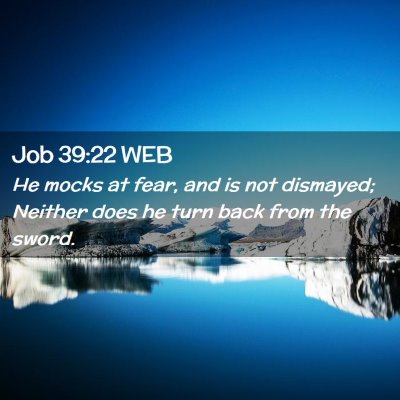 Picture 02 - Job 39:22 WEB - He mocks at fear, and is not dismayed; Neither - Bible Verse Picture