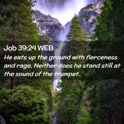 Picture 02 - Job 39:24 WEB - He eats up the ground with fierceness and rage, - Bible Verse Picture