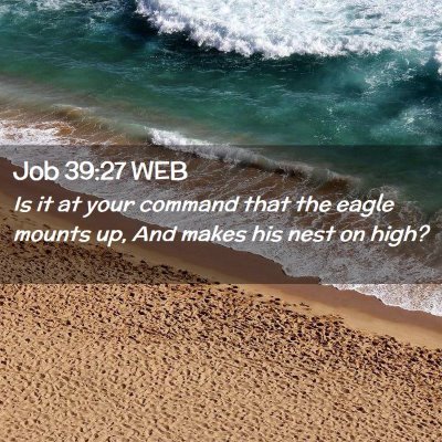 Picture 02 - Job 39:27 WEB - Is it at your command that the eagle mounts up, - Bible Verse Picture