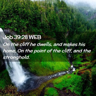 Picture 02 - Job 39:28 WEB - On the cliff he dwells, and makes his home, On - Bible Verse Picture