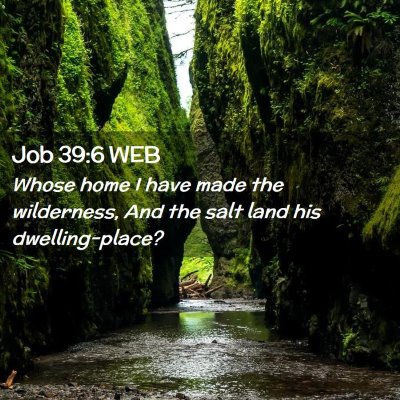 Picture 02 - Job 39:6 WEB - Whose home I have made the wilderness, And the - Bible Verse Picture