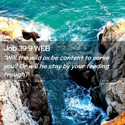 Picture 02 - Job 39:9 WEB - 