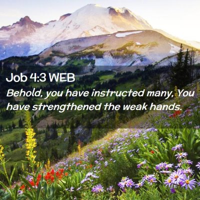 Picture 02 - Job 4:3 WEB - Behold, you have instructed many, You have - Bible Verse Picture