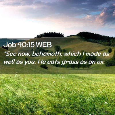 Picture 02 - Job 40:15 WEB - 