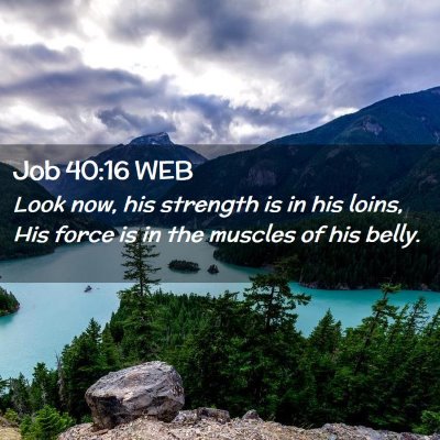 Picture 02 - Job 40:16 WEB - Look now, his strength is in his loins, His force - Bible Verse Picture
