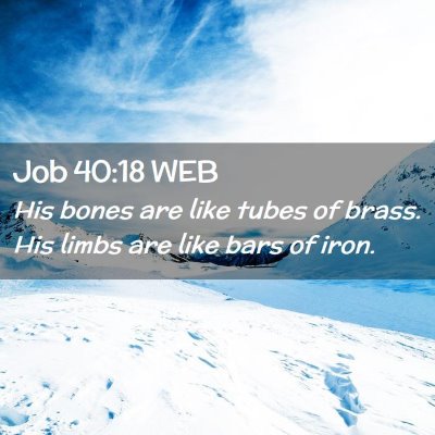Picture 02 - Job 40:18 WEB - His bones are like tubes of brass. His limbs are - Bible Verse Picture