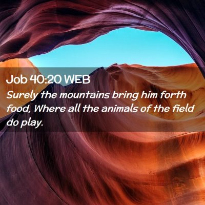 Picture 02 - Job 40:20 WEB - Surely the mountains bring him forth food, Where - Bible Verse Picture