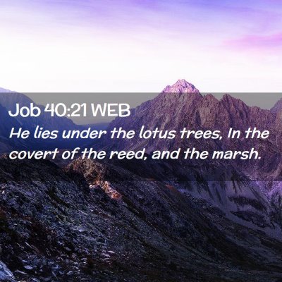 Picture 02 - Job 40:21 WEB - He lies under the lotus trees, In the covert of - Bible Verse Picture