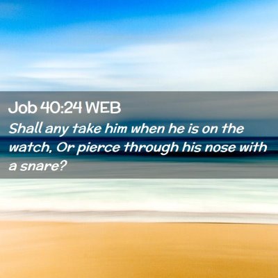 Picture 02 - Job 40:24 WEB - Shall any take him when he is on the watch, Or - Bible Verse Picture