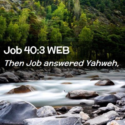 Picture 02 - Job 40:3 WEB - Then Job answered - Bible Verse Picture