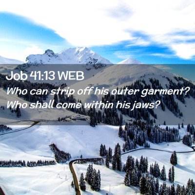 Picture 02 - Job 41:13 WEB - Who can strip off his outer garment? Who shall - Bible Verse Picture