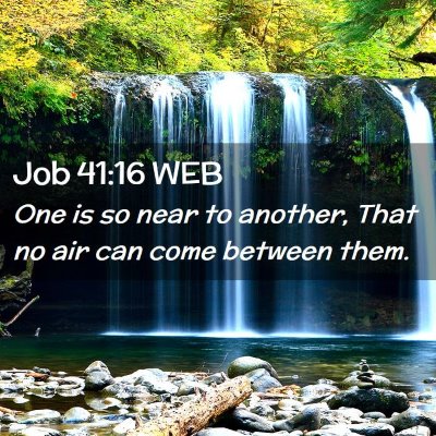 Picture 02 - Job 41:16 WEB - One is so near to another, That no air can come - Bible Verse Picture