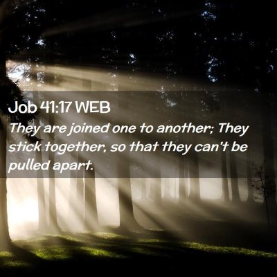 Picture 02 - Job 41:17 WEB - They are joined one to another; They stick - Bible Verse Picture