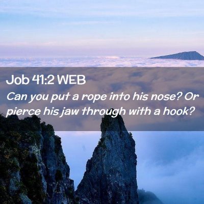 Picture 02 - Job 41:2 WEB - Can you put a rope into his nose? Or pierce his - Bible Verse Picture