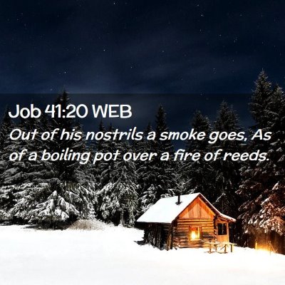 Picture 02 - Job 41:20 WEB - Out of his nostrils a smoke goes, As of a boiling - Bible Verse Picture