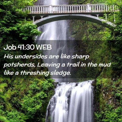 Picture 02 - Job 41:30 WEB - His undersides are like sharp potsherds, Leaving - Bible Verse Picture