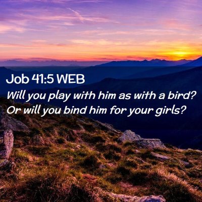 Picture 02 - Job 41:5 WEB - Will you play with him as with a bird? Or will - Bible Verse Picture