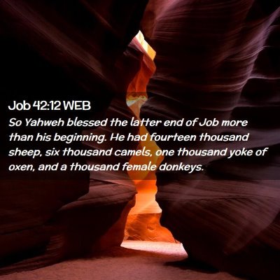 Picture 02 - Job 42:12 WEB - So Yahweh blessed the latter end of Job more than - Bible Verse Picture