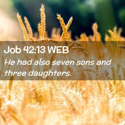 Picture 02 - Job 42:13 WEB - He had also seven sons and three - Bible Verse Picture