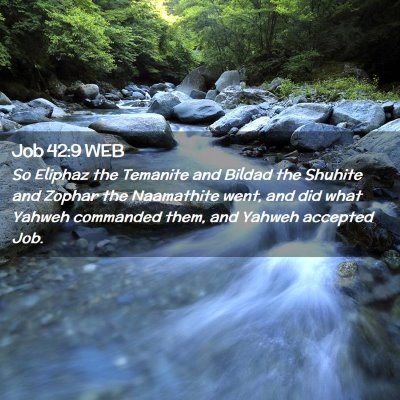 Picture 02 - Job 42:9 WEB - So Eliphaz the Temanite and Bildad the Shuhite - Bible Verse Picture