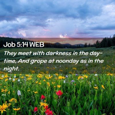 Picture 02 - Job 5:14 WEB - They meet with darkness in the day-time, And - Bible Verse Picture
