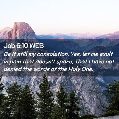 Picture 02 - Job 6:10 WEB - Be it still my consolation, Yes, let me exult in - Bible Verse Picture