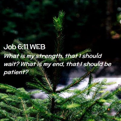Picture 02 - Job 6:11 WEB - What is my strength, that I should wait? What is - Bible Verse Picture