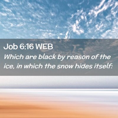 Picture 02 - Job 6:16 WEB - Which are black by reason of the ice, in which - Bible Verse Picture