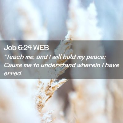 Picture 02 - Job 6:24 WEB - 