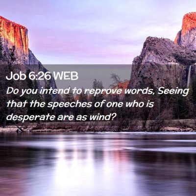 Picture 02 - Job 6:26 WEB - Do you intend to reprove words, Seeing that the - Bible Verse Picture