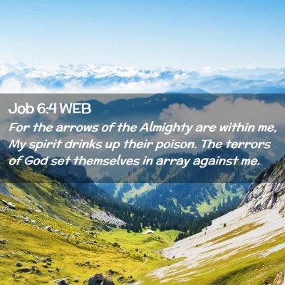 Picture 02 - Job 6:4 WEB - For the arrows of the Almighty are within me, My - Bible Verse Picture