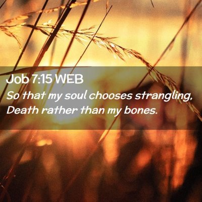 Picture 02 - Job 7:15 WEB - So that my soul chooses strangling, Death rather - Bible Verse Picture
