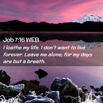 Picture 02 - Job 7:16 WEB - I loathe my life. I don't want to live forever. - Bible Verse Picture