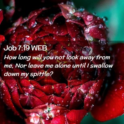 Picture 02 - Job 7:19 WEB - How long will you not look away from me, Nor - Bible Verse Picture