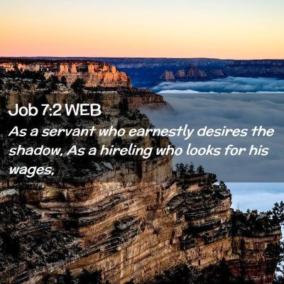Picture 02 - Job 7:2 WEB - As a servant who earnestly desires the shadow, As - Bible Verse Picture