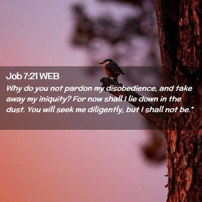 Picture 02 - Job 7:21 WEB - Why do you not pardon my disobedience, and take - Bible Verse Picture