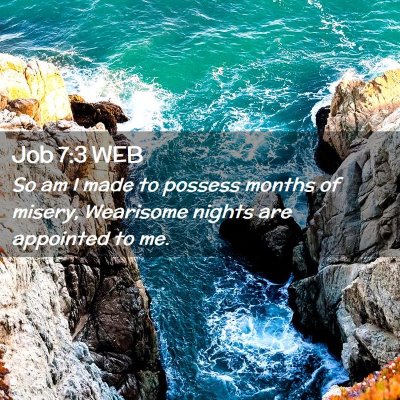 Picture 02 - Job 7:3 WEB - So am I made to possess months of misery, - Bible Verse Picture