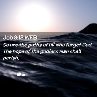 Picture 02 - Job 8:13 WEB - So are the paths of all who forget God. The hope - Bible Verse Picture