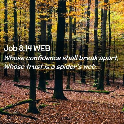 Picture 02 - Job 8:14 WEB - Whose confidence shall break apart, Whose trust - Bible Verse Picture